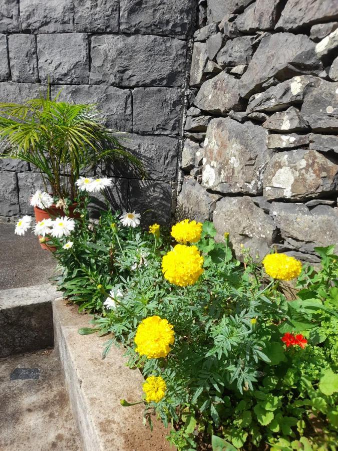 Paraiso Resiliente 산타나 외부 사진