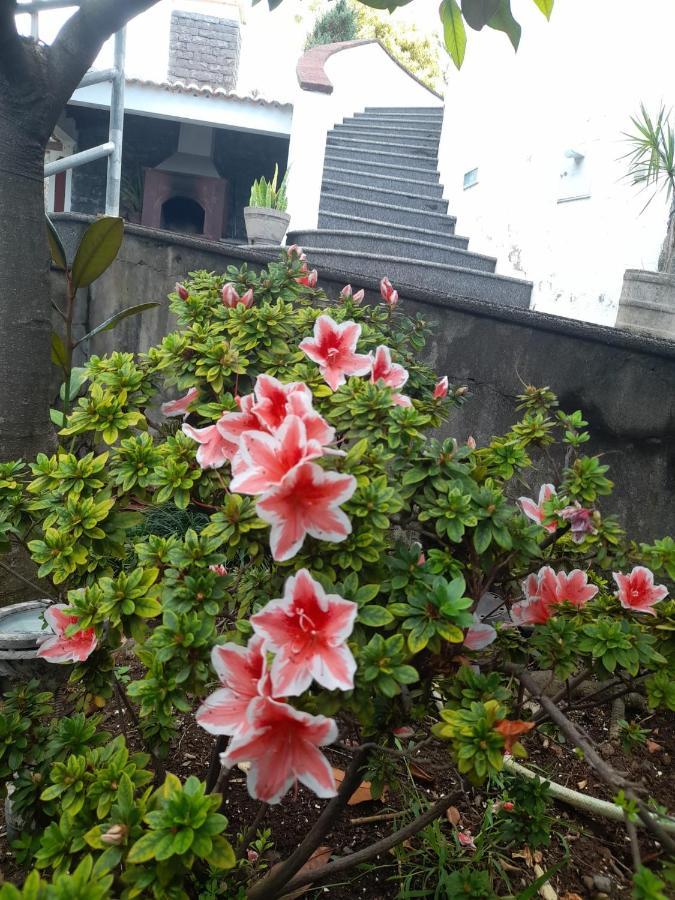 Paraiso Resiliente 산타나 외부 사진